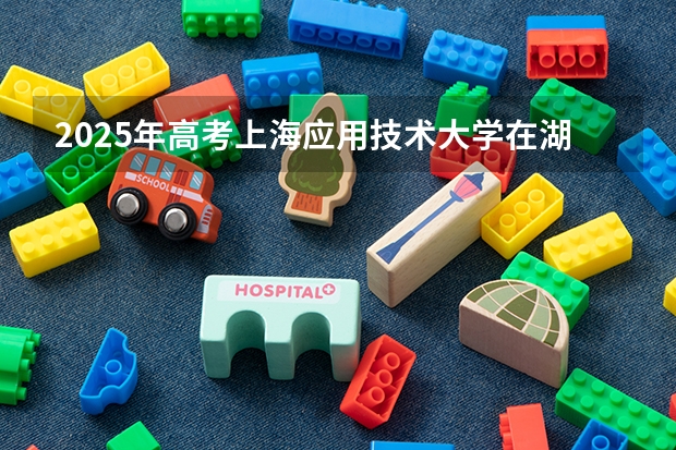 2025年高考上海应用技术大学在湖南投档分数线总汇（2026参考）