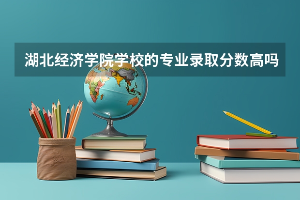 湖北经济学院学校的专业录取分数高吗
