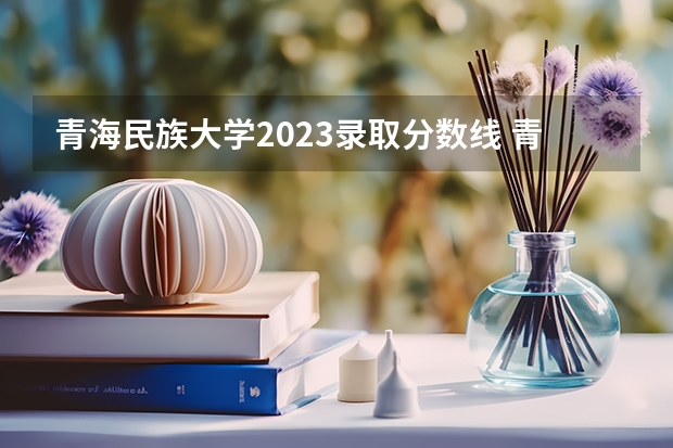 青海民族大学2023录取分数线 青海民族大学数学与应用数学分数线