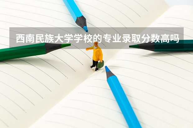 西南民族大学学校的专业录取分数高吗