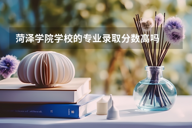 菏泽学院学校的专业录取分数高吗