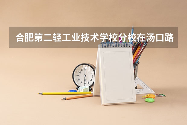 合肥第二轻工业技术学校分校在汤口路吗
