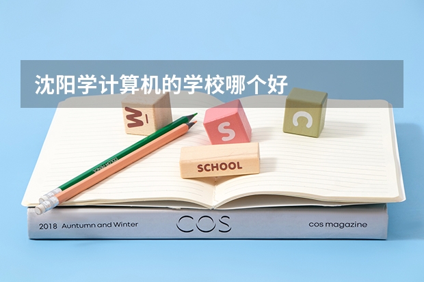沈阳学计算机的学校哪个好