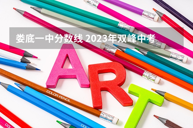 娄底一中分数线 2023年双峰中考分数线