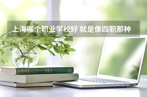 上海哪个职业学校好 就是像四职那种 很容易报名的学校