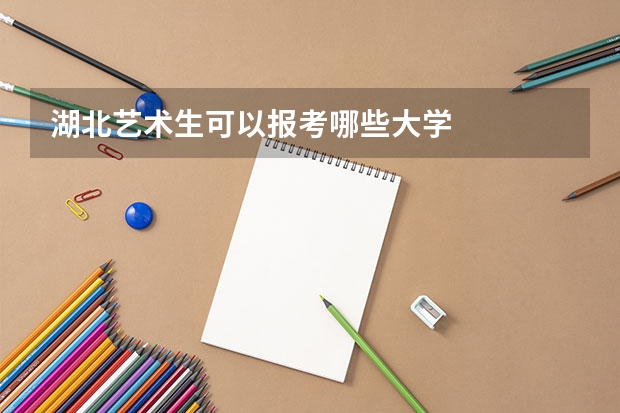 湖北艺术生可以报考哪些大学