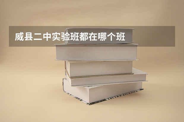 威县二中实验班都在哪个班