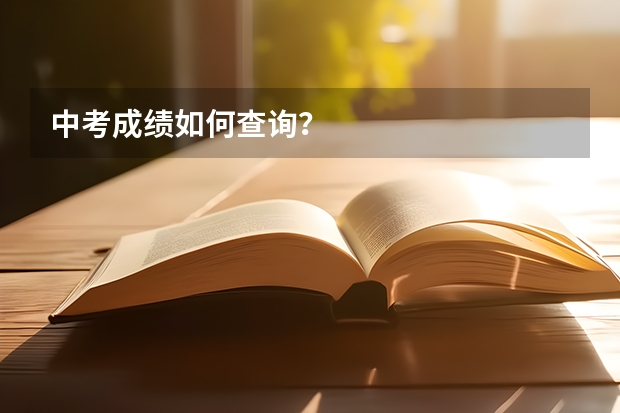 中考成绩如何查询？