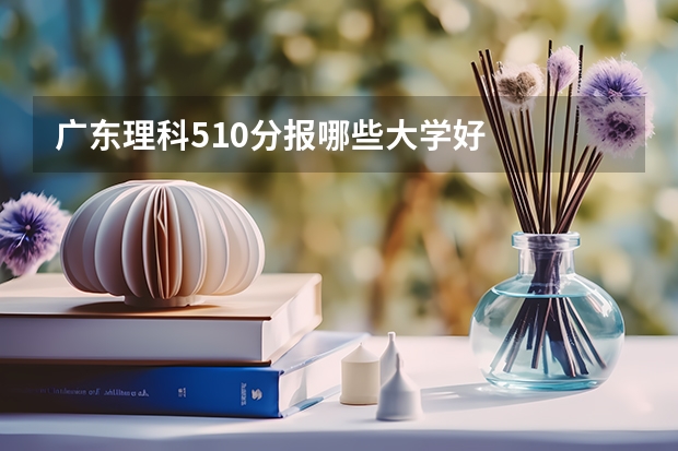 广东理科510分报哪些大学好