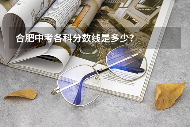 合肥中考各科分数线是多少？