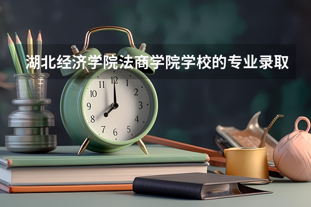 湖北经济学院法商学院学校的专业录取分数高吗