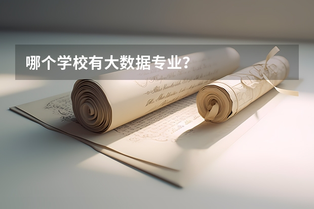 哪个学校有大数据专业？
