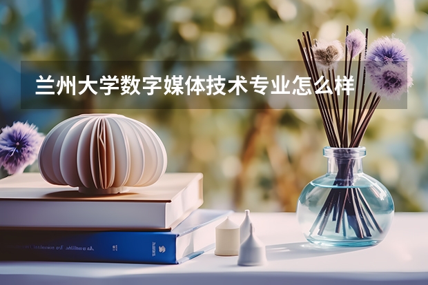 兰州大学数字媒体技术专业怎么样