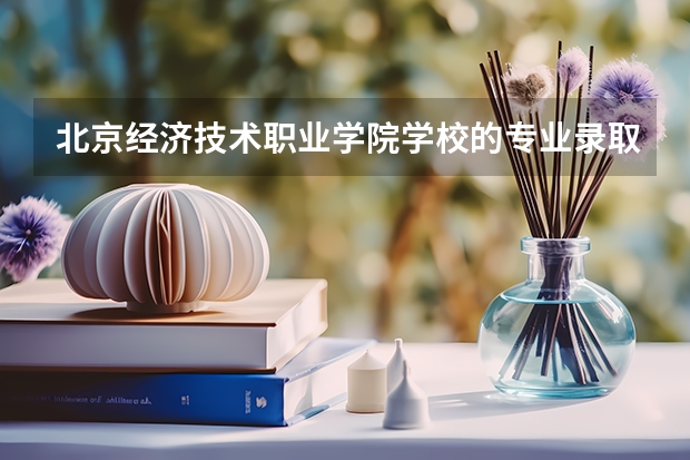 北京经济技术职业学院学校的专业录取分数高吗