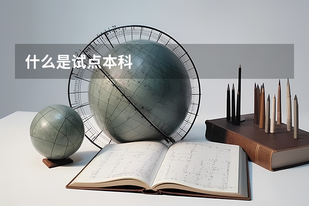 什么是试点本科