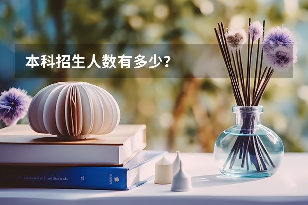 本科招生人数有多少？