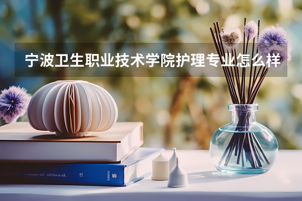 宁波卫生职业技术学院护理专业怎么样
