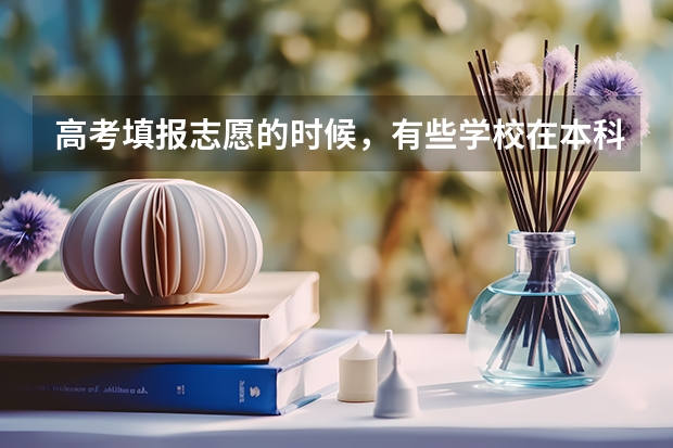 高考填报志愿的时候,有些学校在本科二批但是招生计划有些专业在本科一批,怎么填报