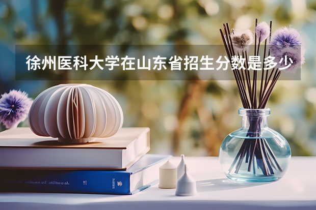徐州医科大学在山东省招生分数是多少