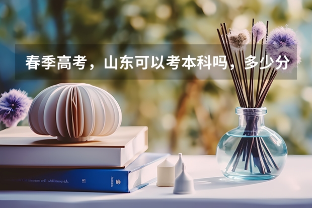 春季高考，山东可以考本科吗，多少分左右