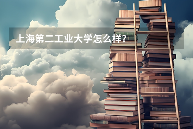 上海第二工业大学怎么样？