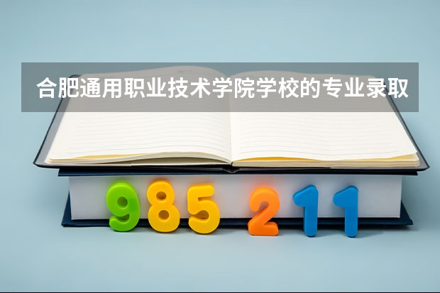合肥通用职业技术学院学校的专业录取分数高吗