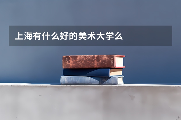 上海有什么好的美术大学么