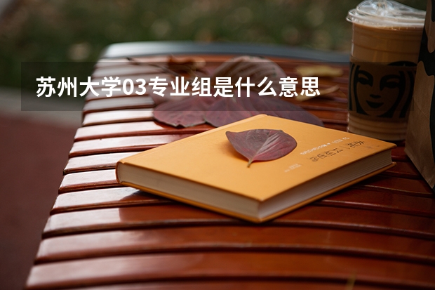 苏州大学03专业组是什么意思