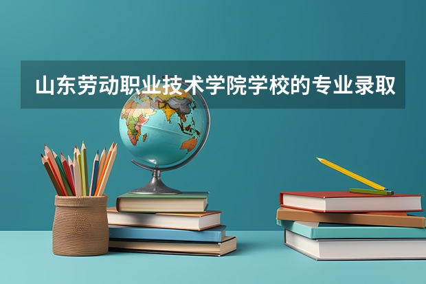 山东劳动职业技术学院学校的专业录取分数高吗