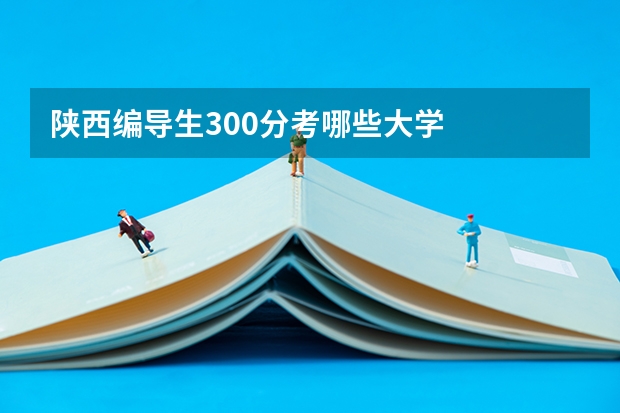 陕西编导生300分考哪些大学