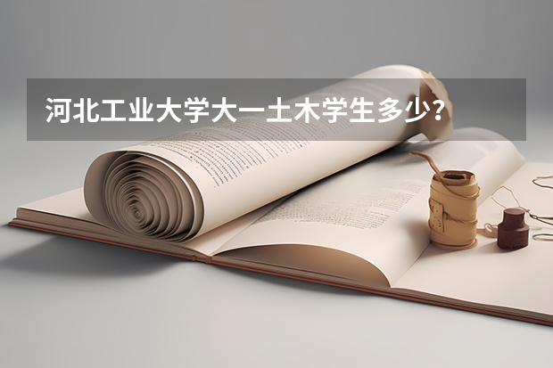 河北工业大学大一土木学生多少？