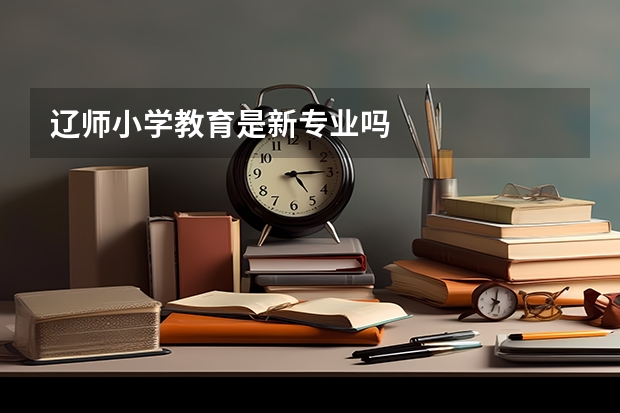 辽师小学教育是新专业吗