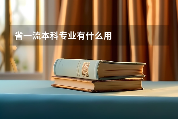 省一流本科专业有什么用
