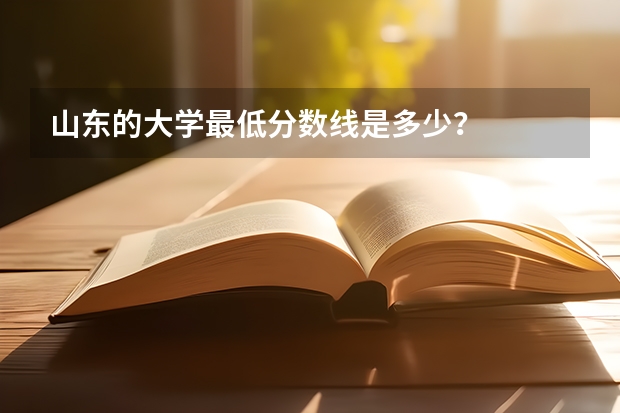 山东的大学最低分数线是多少？