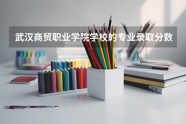 武汉商贸职业学院学校的专业录取分数高吗