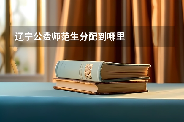 辽宁公费师范生分配到哪里