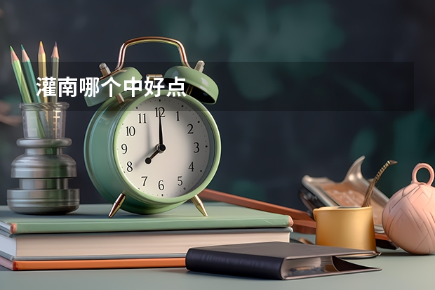 灌南哪个中好点