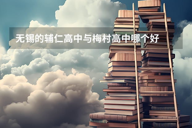 无锡的辅仁高中与梅村高中哪个好