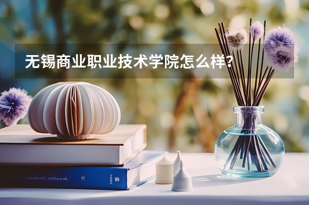无锡商业职业技术学院怎么样?