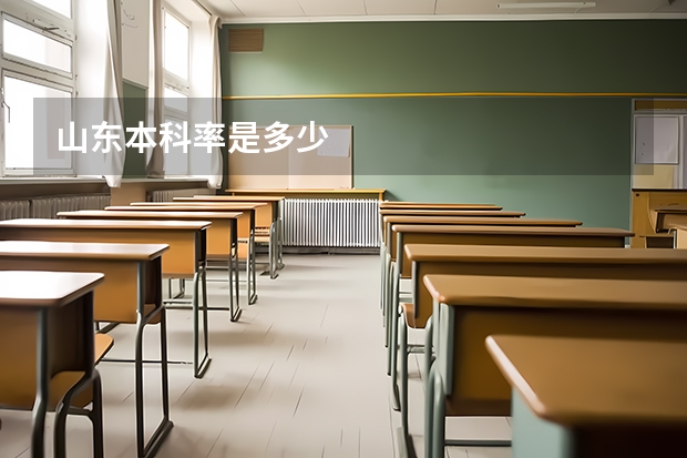 山东本科率是多少