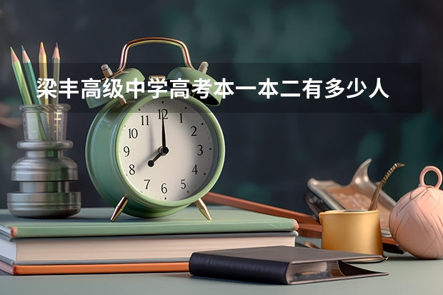 梁丰高级中学高考本一本二有多少人