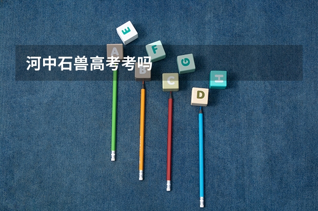 河中石兽高考考吗