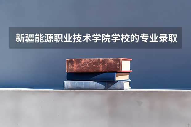 新疆能源职业技术学院学校的专业录取分数高吗