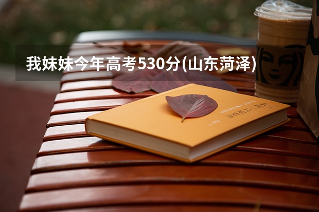 我妹妹今年高考530分(山东菏泽)，请问报考什么学校好呢？有什么好的专业吗？