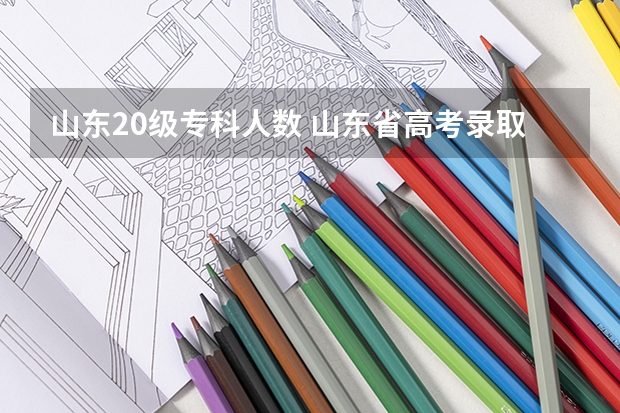 山东20级专科人数 山东省高考录取率
