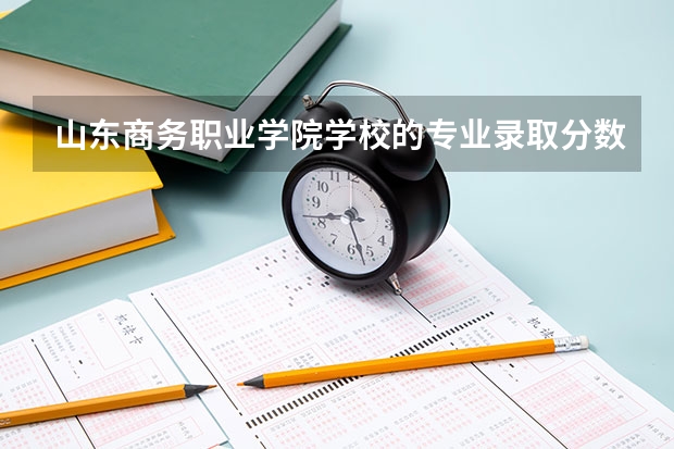 山东商务职业学院学校的专业录取分数高吗
