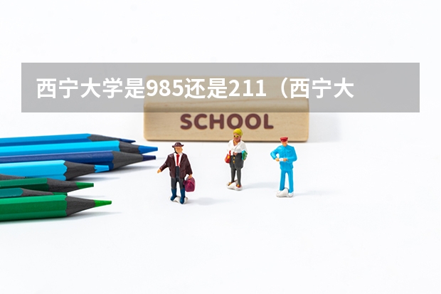 西宁大学是985还是211（西宁大学是985还是211）