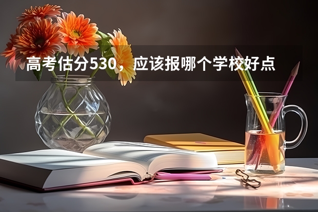 高考估分530,应该报哪个学校好点