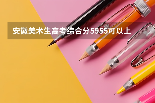 安徽美术生高考综合分595.5可以上什么大学？