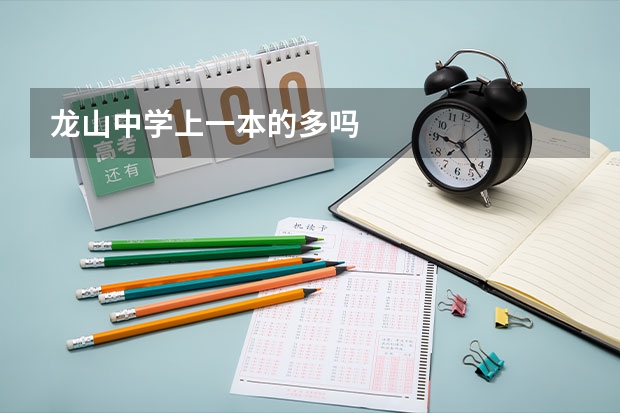 龙山中学上一本的多吗